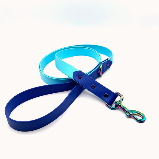 1" (25mm) Leash - Turquoise and Fir