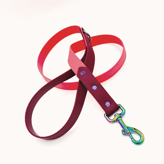1" (25mm) Leash - Turquoise and Fir