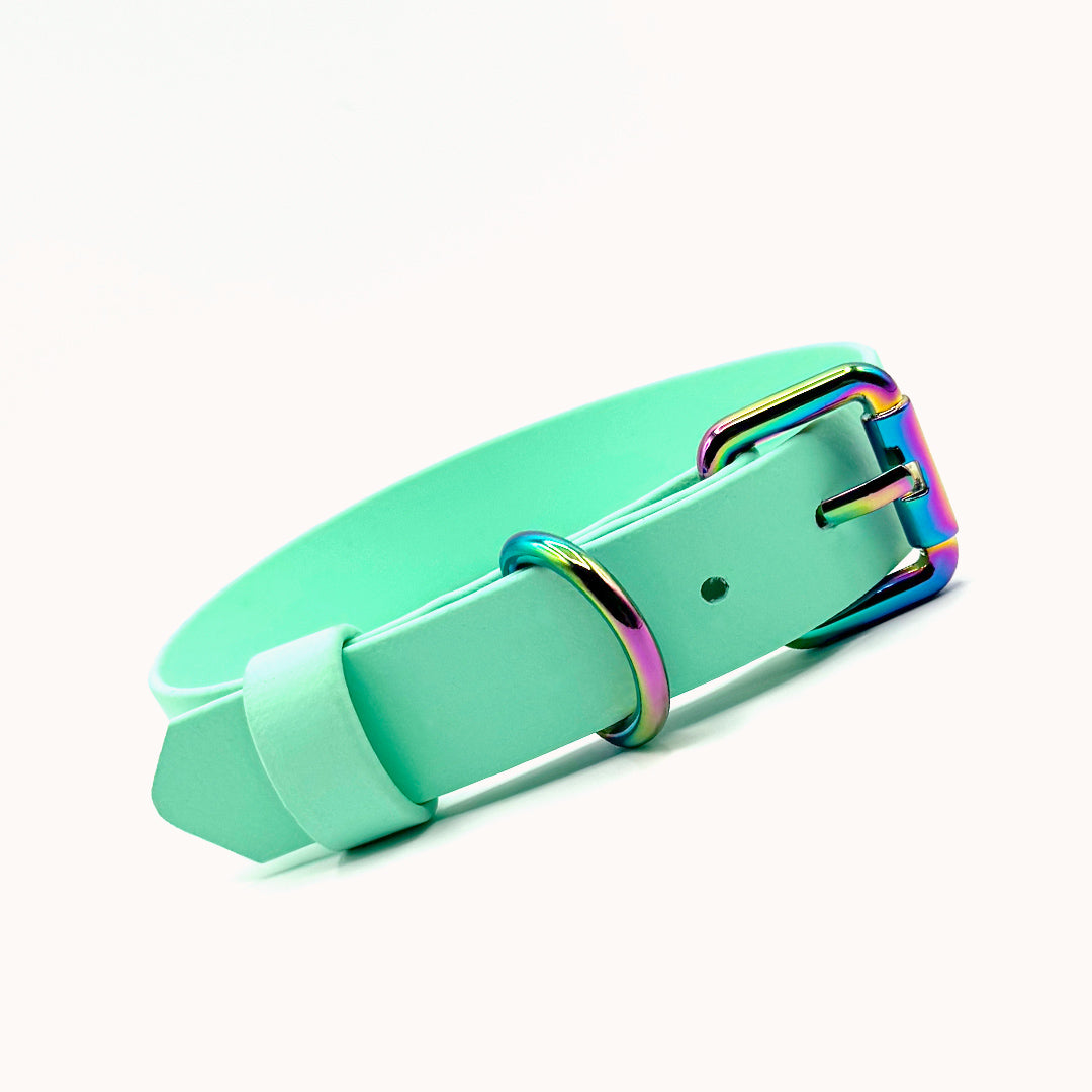 Collier ajustable 1" (25 mm) - Écume de mer