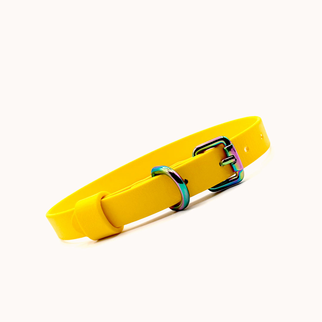 Collier ajustable 5/8 pouce (16 mm) - Jaune