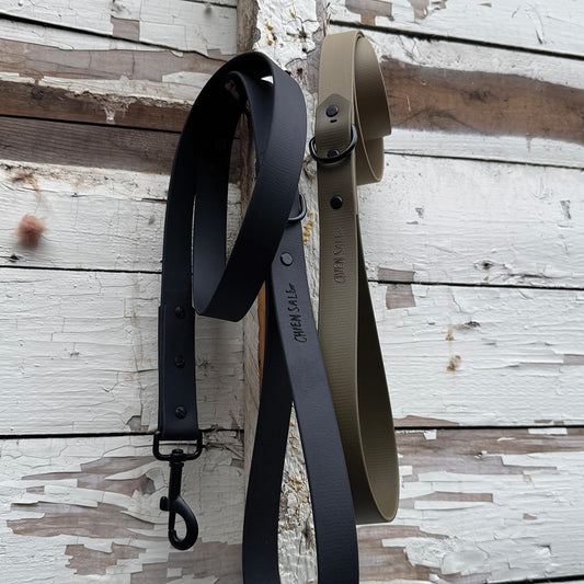 Leash 4' or 6'