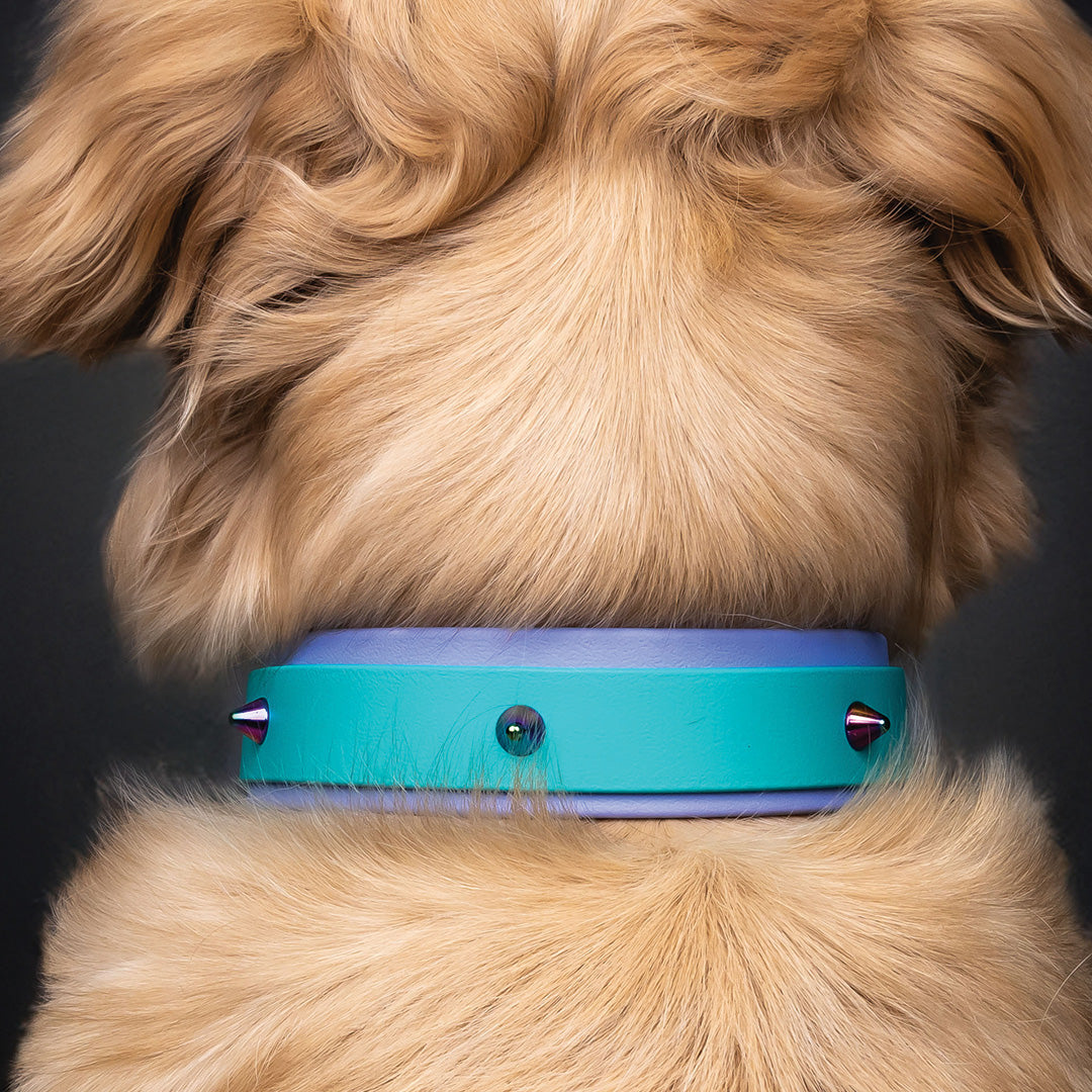 Collier ajustable double 1 1/2" (37 mm) - Pervenche/Turquoise