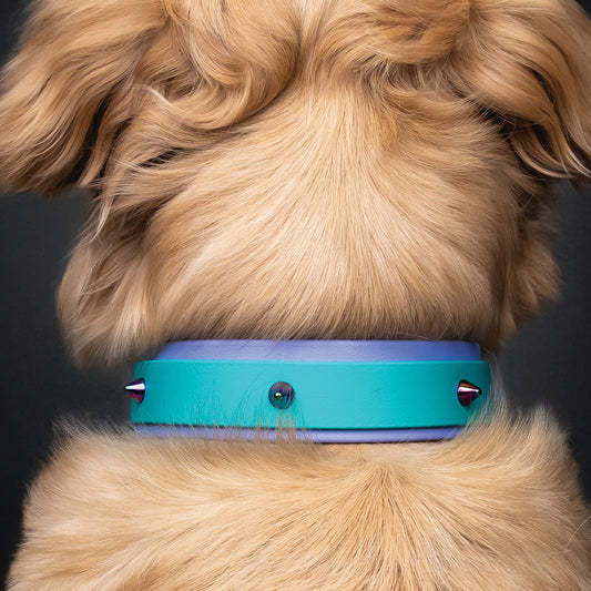Collier ajustable double 1 1/2" (37 mm) - Pervenche/Turquoise