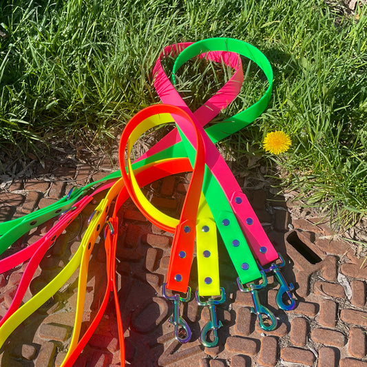 Neon leash 1" (25 mm)