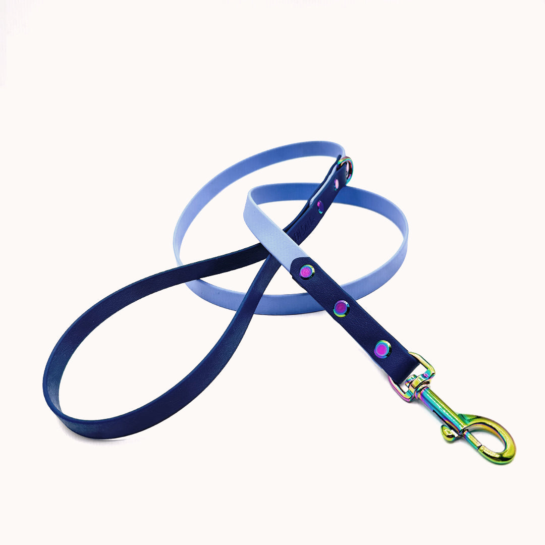 Laisse DUO Marine/Pervenche