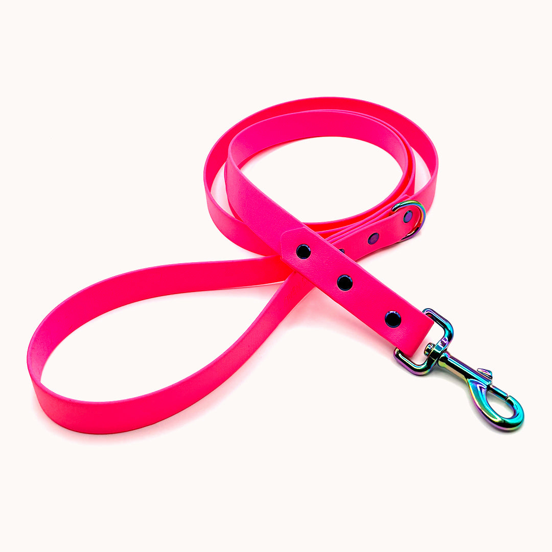 Laisse Rose fluo