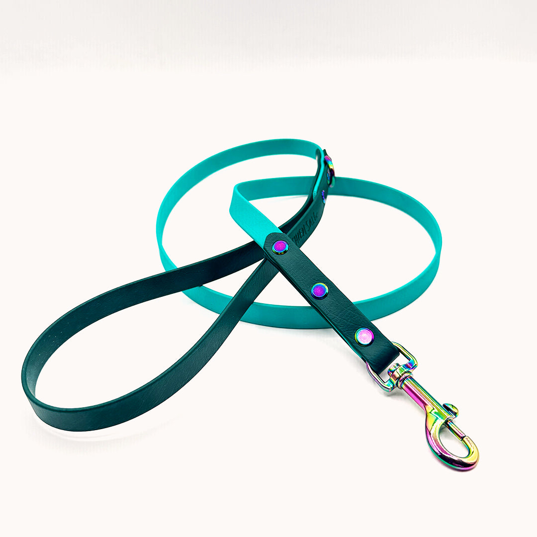 Laisse DUO Sapin/Turquoise