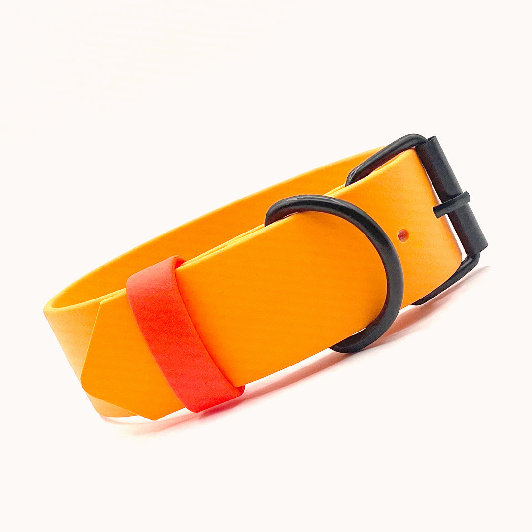 Collier ajustable 1 1/2 pouce (37 mm) - Orange