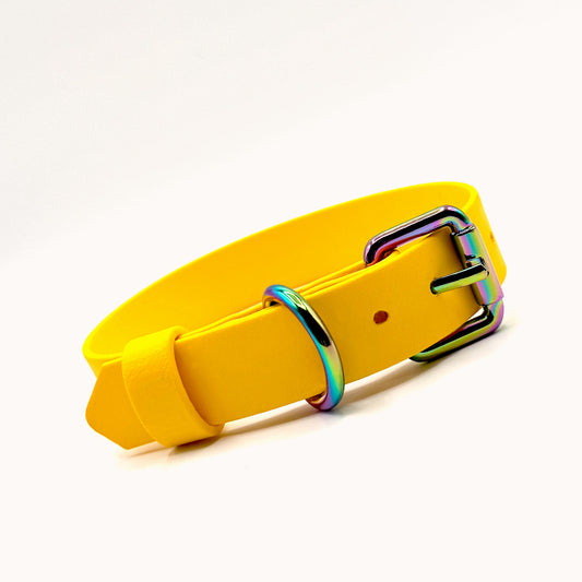Adjustable collar 1 1/2 inch (37 mm) - Teal