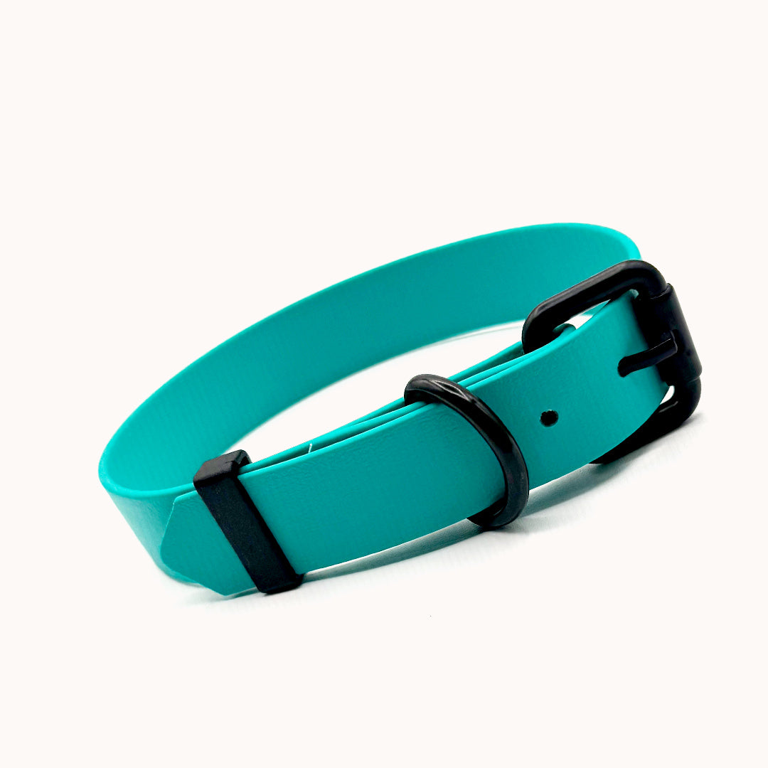 Collier ajustable 1 pouce (25 mm) - Turquoise