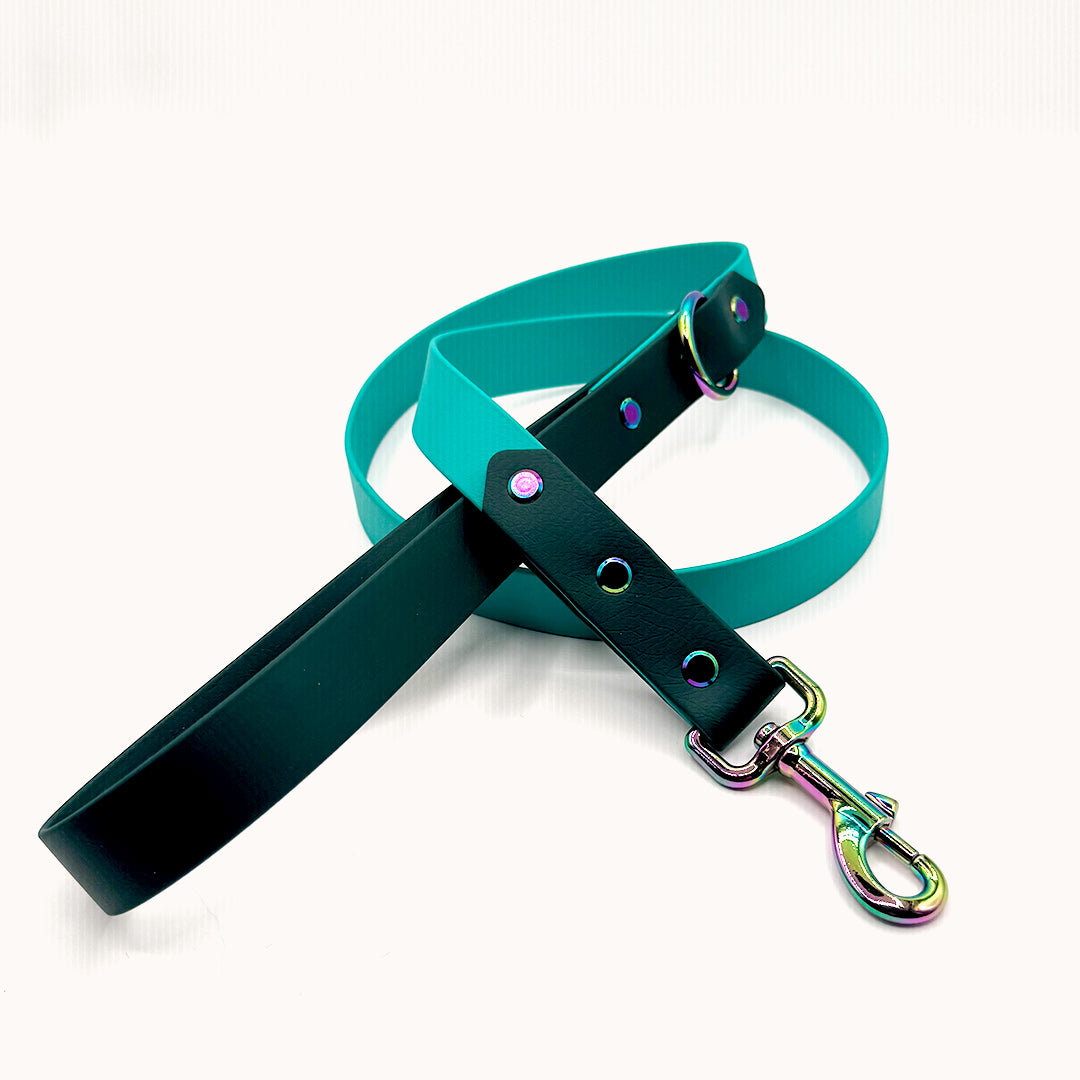 Laisse 1" (25 mm) - Turquoise et sapin